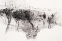 Bridget Macdonald, The Prague Hare, 2015, charcoal/graphite on paper, 81 x 122 cm