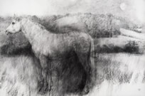 Bridget Macdonald, The Midsummer Mare 2, 2017, charcoal on paper, 81 x 122 cm