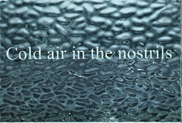 Helen MacAlister, Cold air in the nostrils, 2011, sand-blasted glass, edition of 3, 10.5 x 15 cm, £600