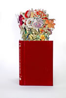 Jack Milroy, Book of Flowers 2, cut book, 21 x 9 x 14 cm