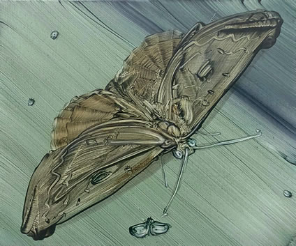 Mimei Thompson, Moth, 2018, oil on canvas, 25.5 x 30.5 cm