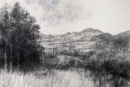 Bridget Macdonald, The Beautiful View, 2022, charcoal on paper, 81 x 122 cm