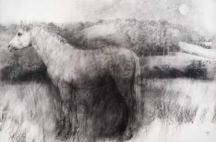 Bridget Macdonald, The Midsummer Mare II, 2019, charcoal on paper, 81 x 122 cm