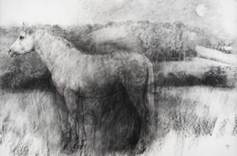 Bridget Macdonald, The Midsummer Mare, 2017, Charcoal on Paper, 81 x 122 cm