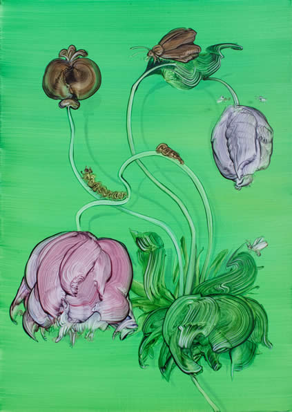 Mimei Thompson, Metamorphosis (Opium Poppy), 2020, oil on canvas 70 x 50 cm