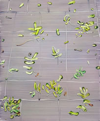 Mimei Thompson, Pavement Leaves II, 2015, oil on canvas, 60 x 50 cm