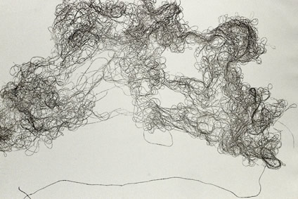 Zyma Amien, Unbridled Series I, printed on Hahnemühle paper, gauze thread, 70 x 90 cm